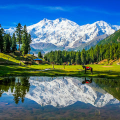 NARAN