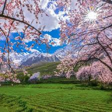 HUNZA